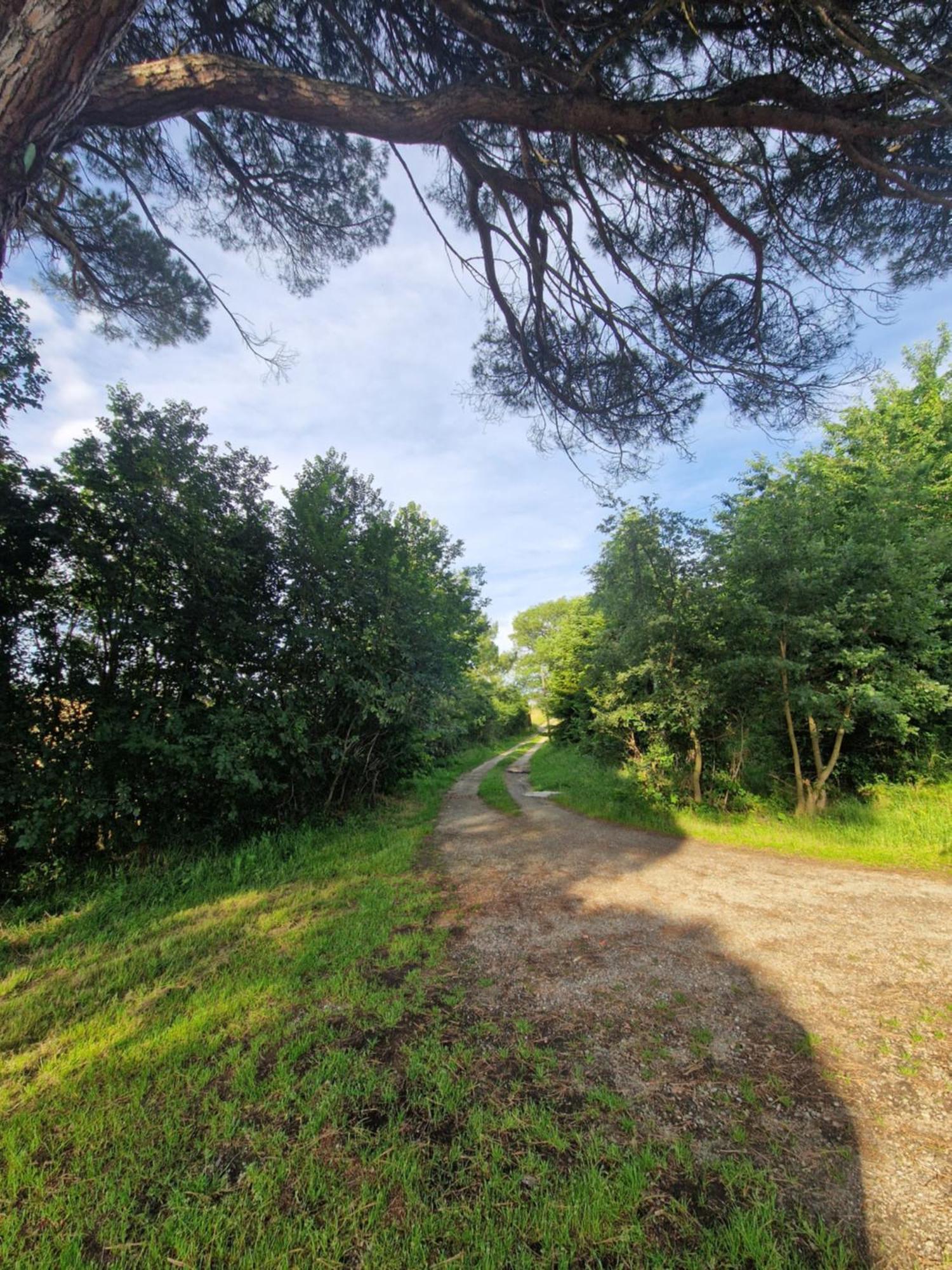 Ferme Ariegeoise, Gite Du Lac Unzent ภายนอก รูปภาพ